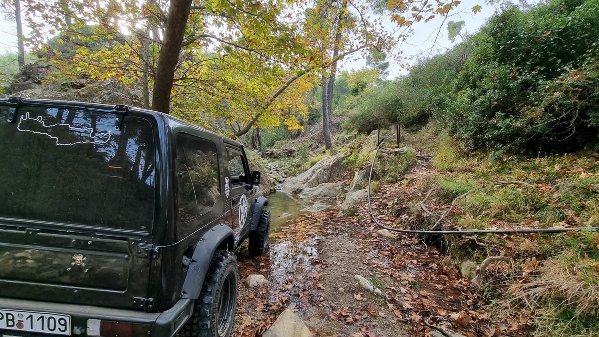 SUV on a rugged forest trail showcasing a scenic off-road adventure during fall.